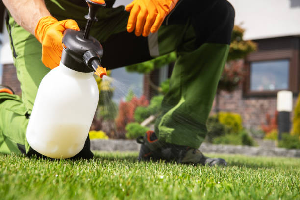 Best Flea Control Services  in Fayette, MO