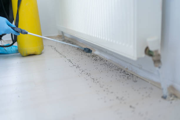 Best Mosquito Control Services  in Fayette, MO