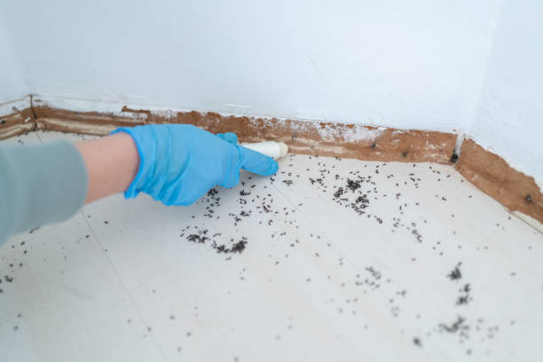 Professional Pest Control in Fayette, MO