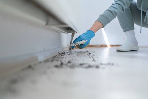 Best Emergency Pest Control  in Fayette, MO